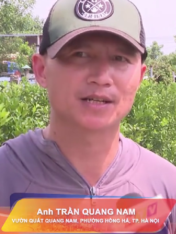 Người dân Hà Nội nhanh chóng khắc phục ảnh hưởng do cơn bão số 11