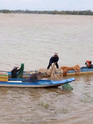 Tin lũ trên sông Cửu Long