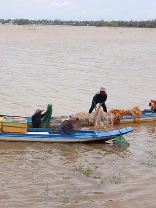 Mực nước đầu nguồn sông Cửu Long biến đổi chậm, nguy cơ ngập lụt tại nhiều tỉnh