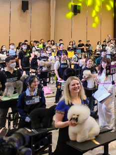 Hyponic Vietnam Grooming Competition 2025 – Sân chơi chuyên nghiệp tôn vinh nghệ thuật cắt tỉa thú cưng Việt Nam