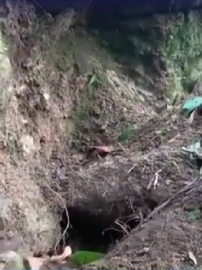 Quảng Ngãi: 61 hộ dân sống trong lo sợ vì núi xuất hiện nhiều vết nứt vuông