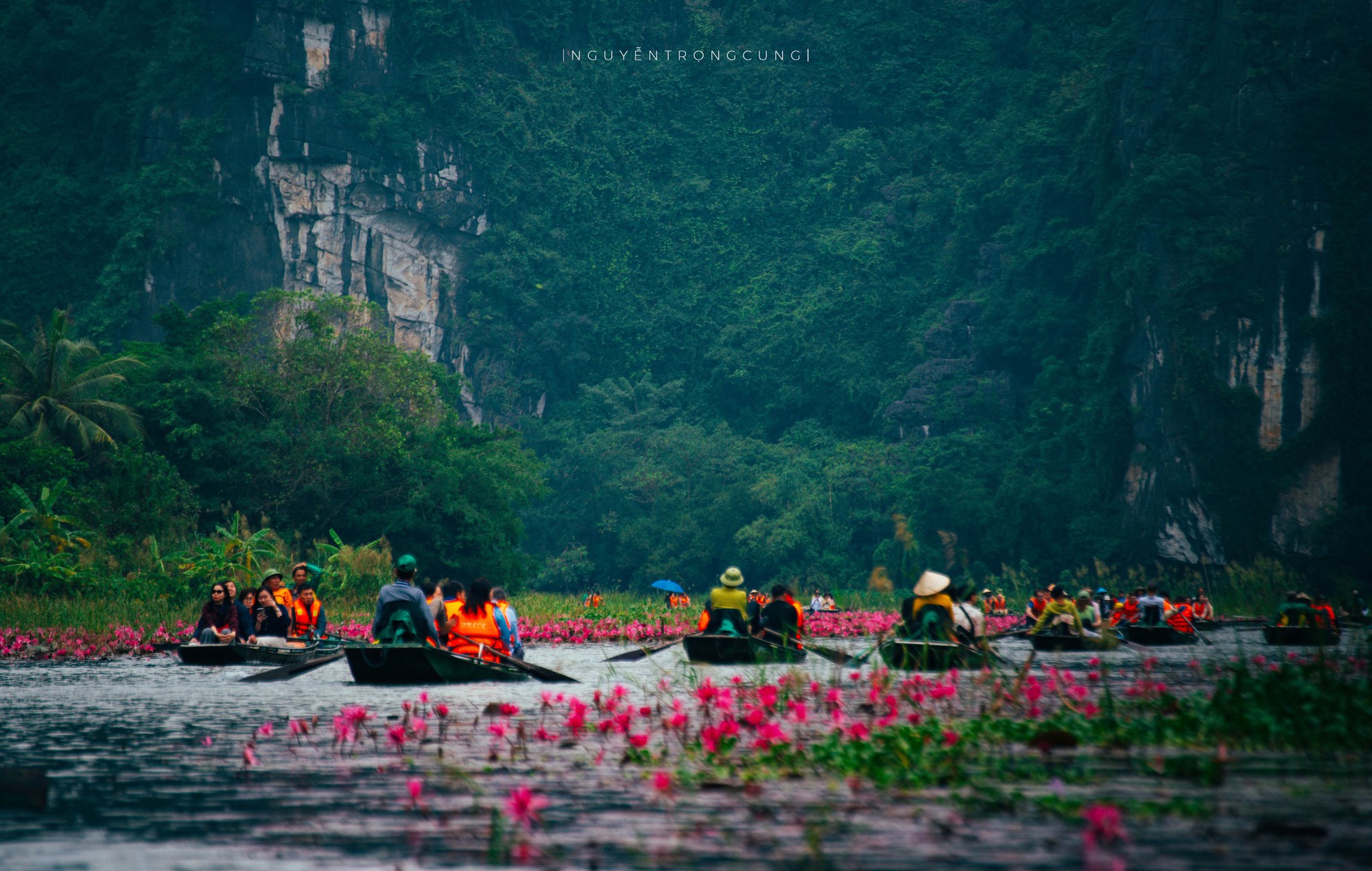 Ninh Bình - Ảnh 5.