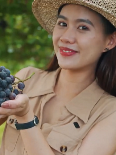 Việt Nam đi là ghiền - Mùa 4 - Tập 15: Lạc vào thiên đường trái cây