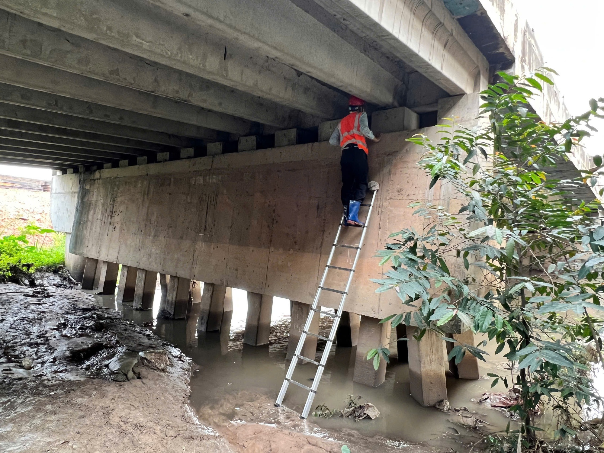 Bắt đầu kiểm định các cầu tại dự án thoát nước gần 6.000 tỉ đồng ở TP. Hồ Chí Minh - Ảnh 3.
