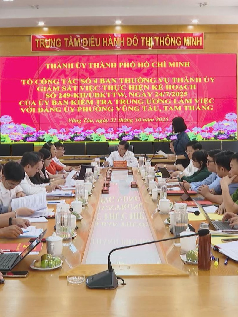 Tổ công tác số 4 Ban Thường vụ Thành ủy TP. Hồ Chí Minh làm việc với phường Vũng Tàu và Tam Thắng