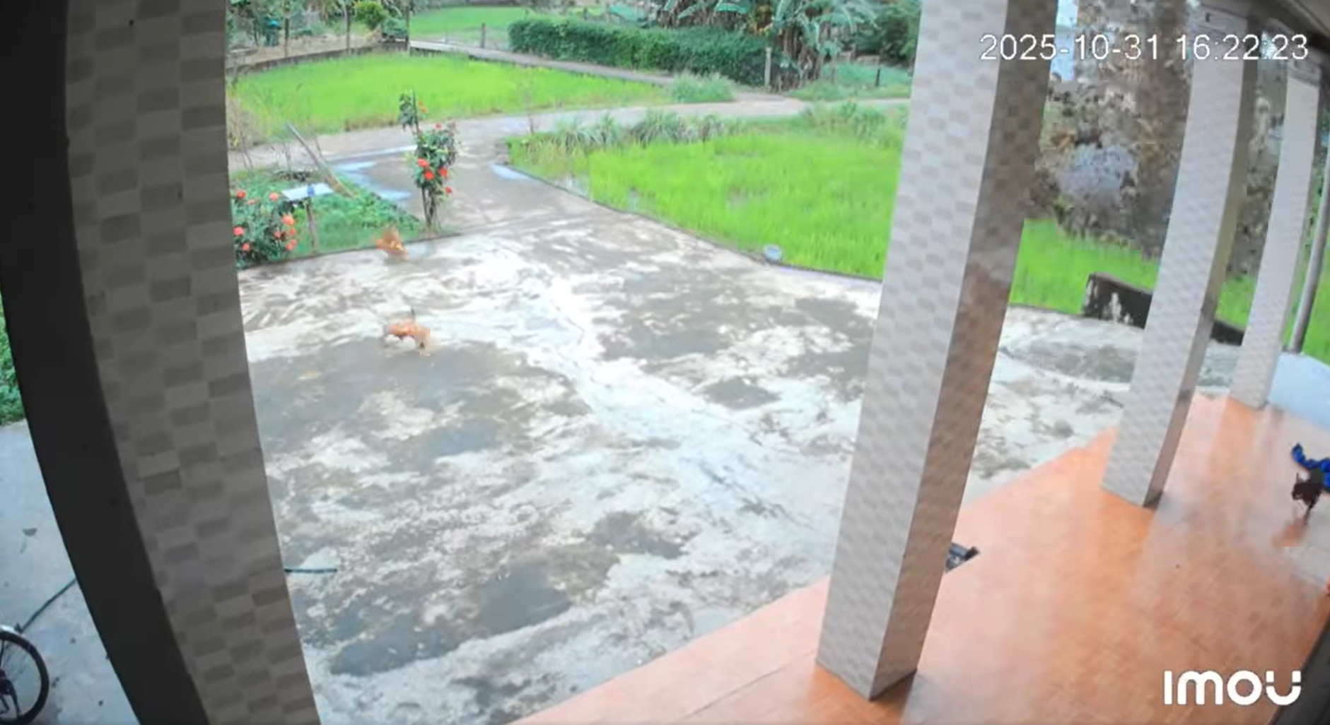 Quảng Trị: Nổ lớn tại ruộng lúa, nghi do bom đạn sót lại- Ảnh 1.