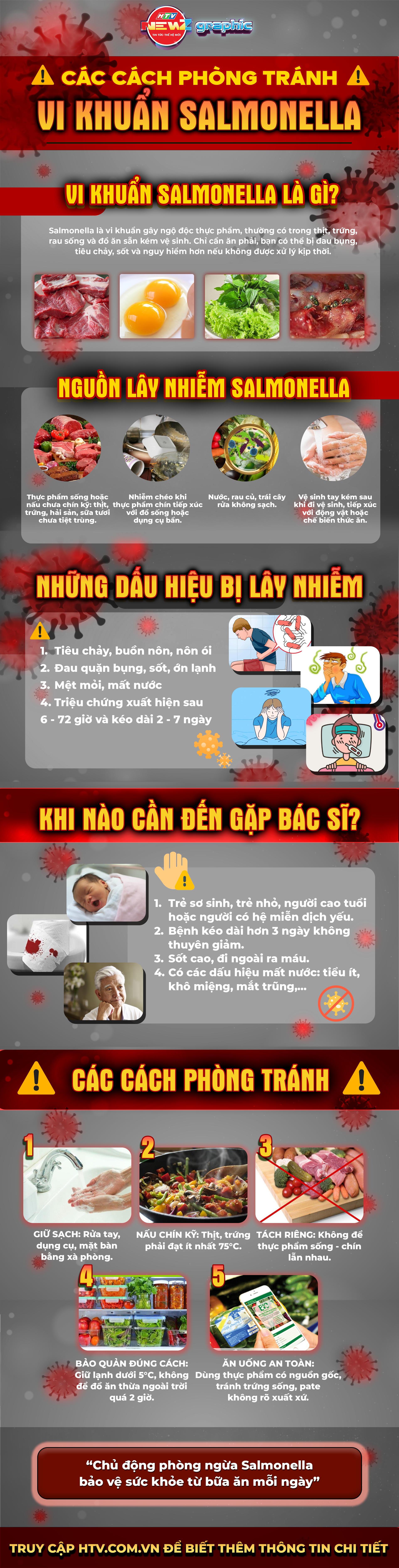 NewZgraphic: Ngộ độc do vi khuẩn Salmonella - Cảnh báo từ bữa ăn quen thuộc - Ảnh 1.