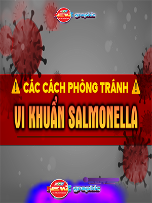 NewZgraphic: Ngộ độc do vi khuẩn Salmonella - Cảnh báo từ bữa ăn quen thuộc