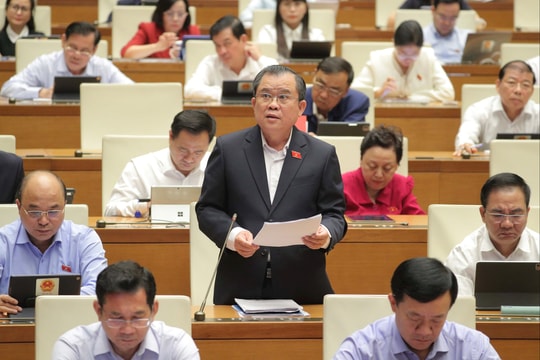 Đại biểu đề nghị quan tâm phát triển nền kinh tế hàng không tầm thấp- Ảnh 6. Đại biểu đề nghị quan tâm phát triển nền kinh tế hàng không tầm thấp- Ảnh 6.