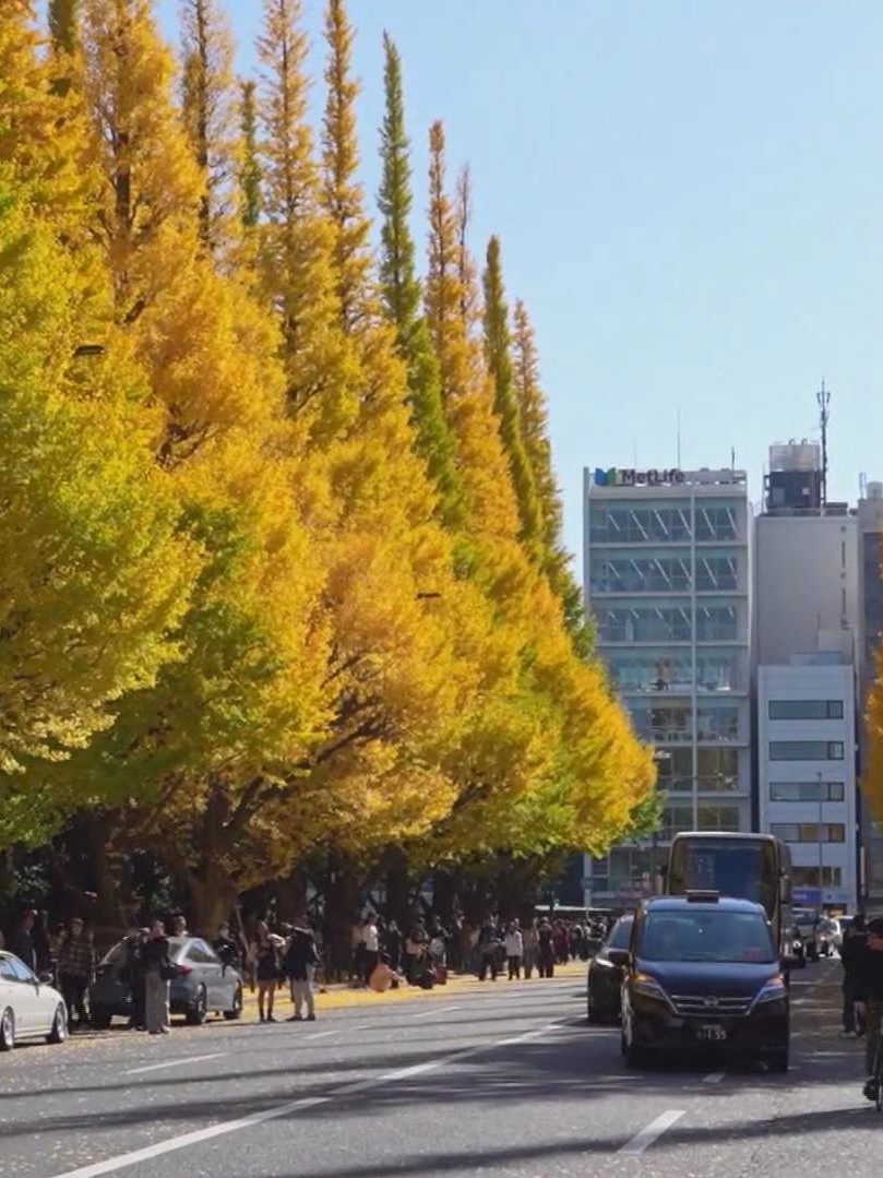 Nhật Bản: Chiêm ngưỡng vẻ đẹp của núi Phú Sĩ vào mùa thu