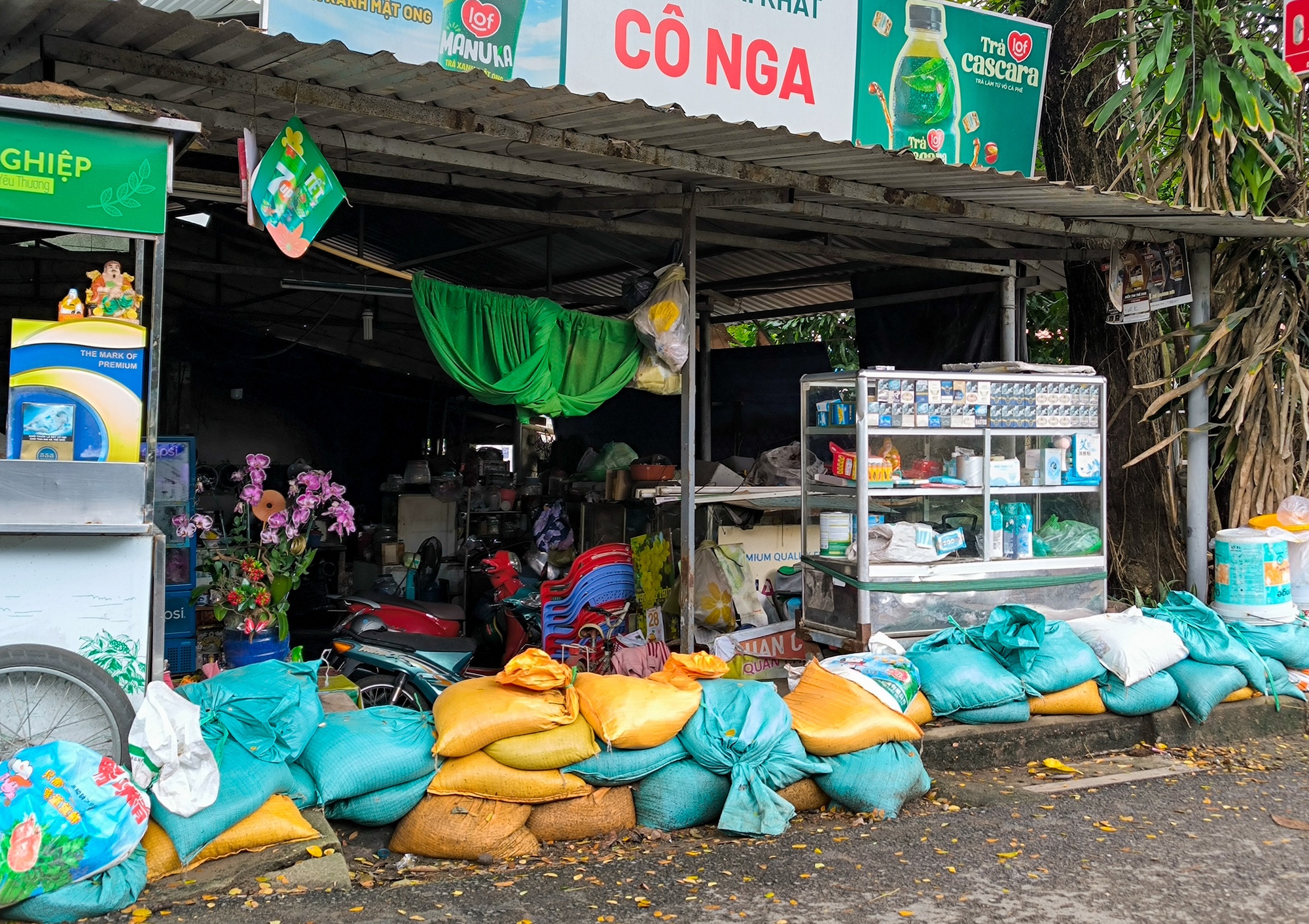 triều cường - Ảnh 1.