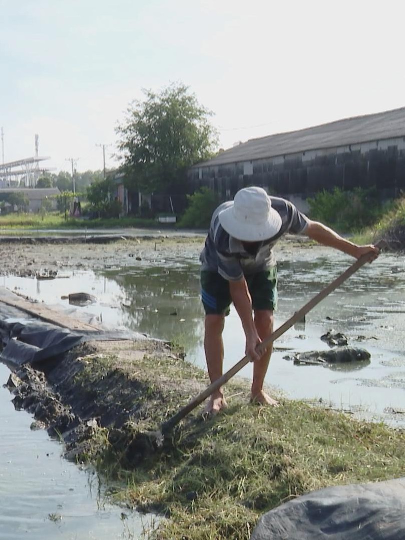 Mưa kéo dài, diêm dân trễ vụ muối