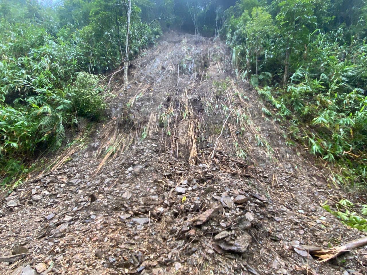 Cận cảnh cung đường sạt lở trên dãy Trường Sơn - Ảnh 6.