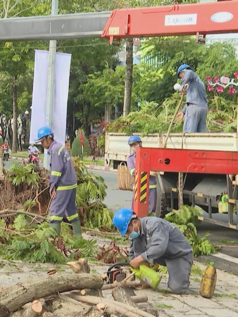 Chủ động phòng ngừa cây ngã đổ khi mưa bão bằng công tác cắt tỉa cây xanh