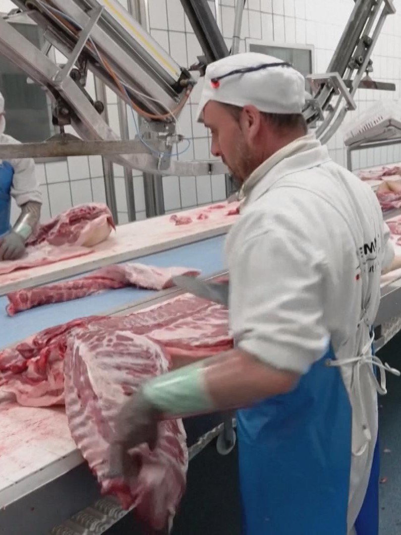 Nhiều nước ngừng nhập khẩu thịt heo từ Tây Ban Nha