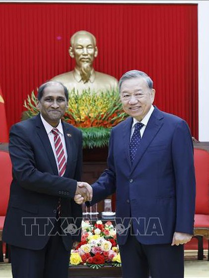 Tổng Bí thư Tô Lâm tiếp Đại sứ Singapore tại Việt Nam