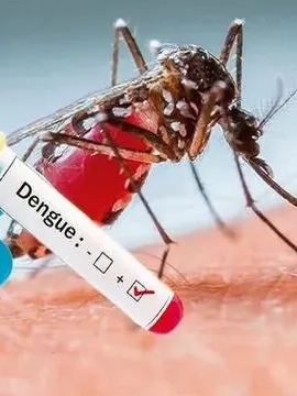 Đồng Nai: Ghi nhận trường hợp thứ 6 tử vong do sốt xuất huyết