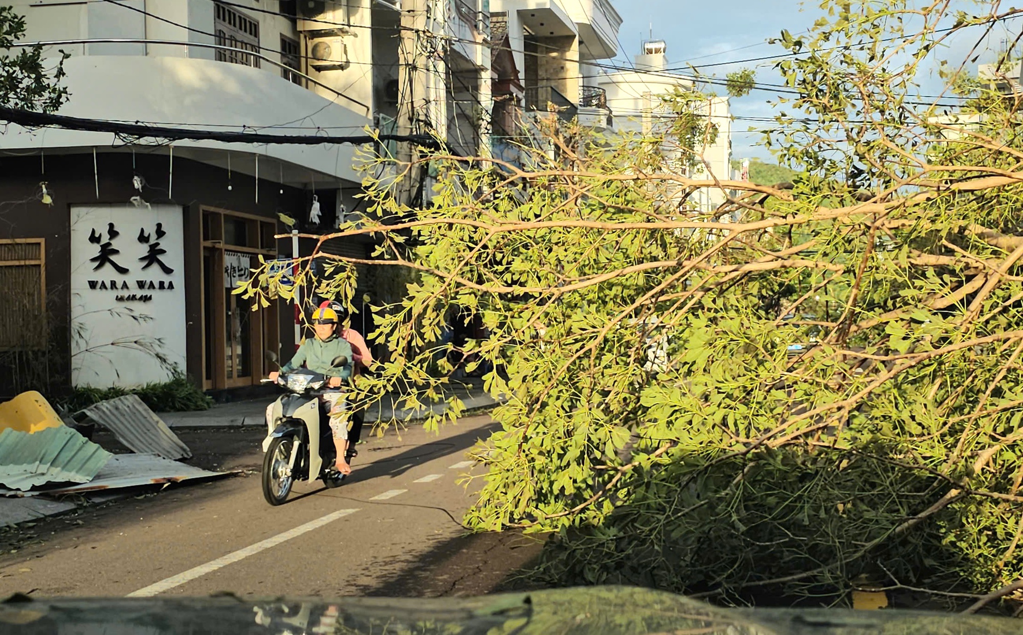 Thiệt hại nặng nề sau Bão số 13 tại gia Lai , người dân khốn khó - Ảnh 4. Thiệt hại nặng nề sau Bão số 13 tại gia Lai , người dân khốn khó - Ảnh 4.