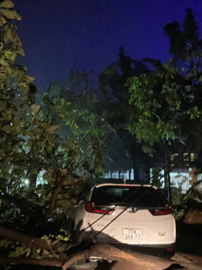 Thiệt hại nặng nề do bão số 13 gây ra: 5 người tử vong và hàng nghìn nhà cửa bị tàn phá