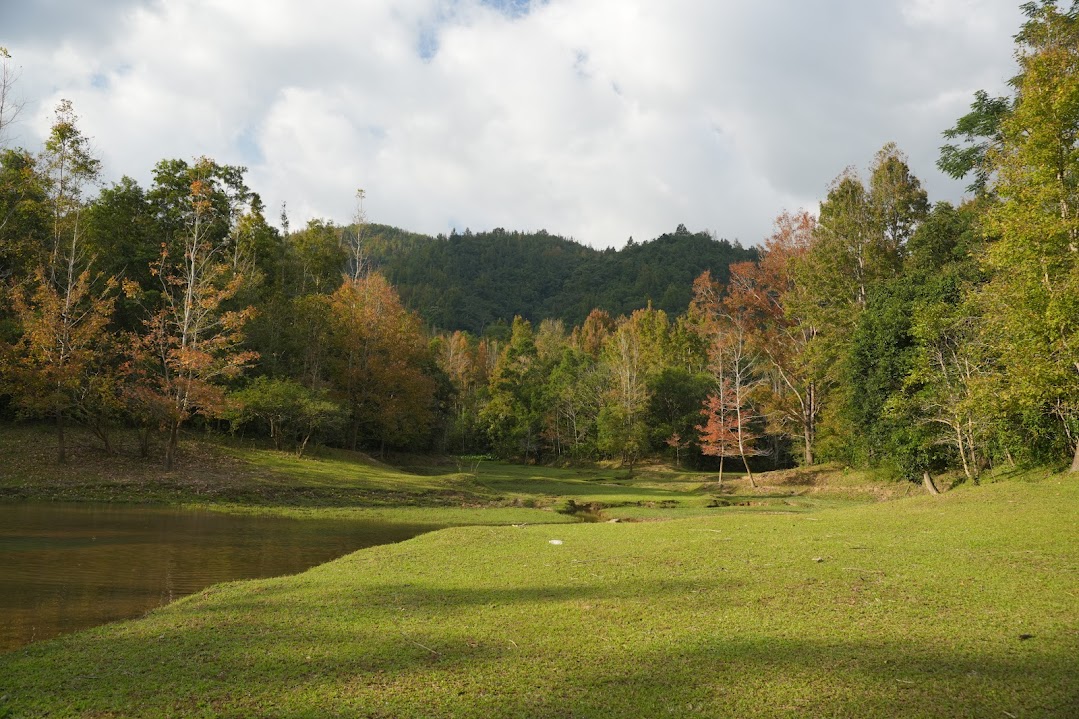 Quyến rũ mùa phong hương thay lá ở miền tây Quảng Trị- Ảnh 5.