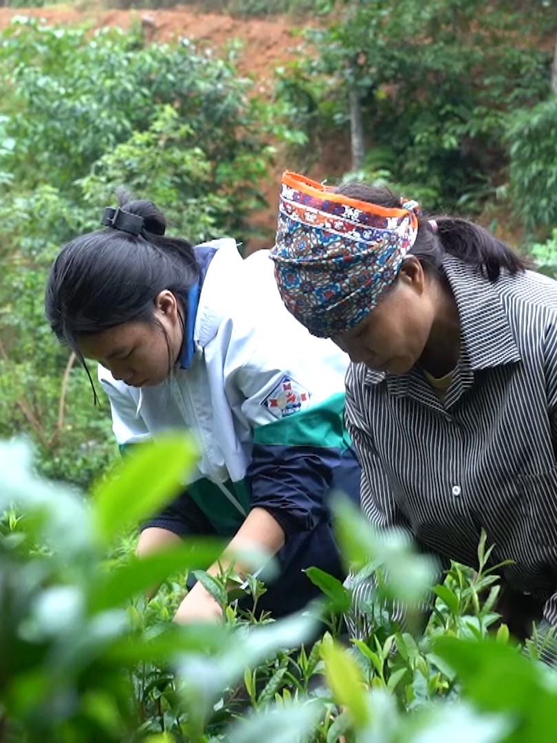 Em Hòa vượt nghịch cảnh, chăm mẹ và anh trai bệnh tâm thần - Mái ấm gia đình Việt