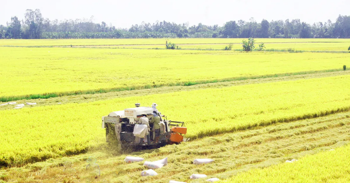 11 tháng, xuất khẩu nông nghiệp đạt hơn 64 tỷ USD