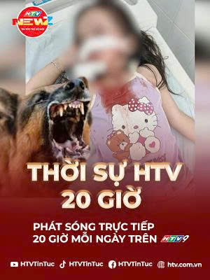 Thời sự HTV ngày 12/12/2025 | Hiểm họa từ chó thả rông