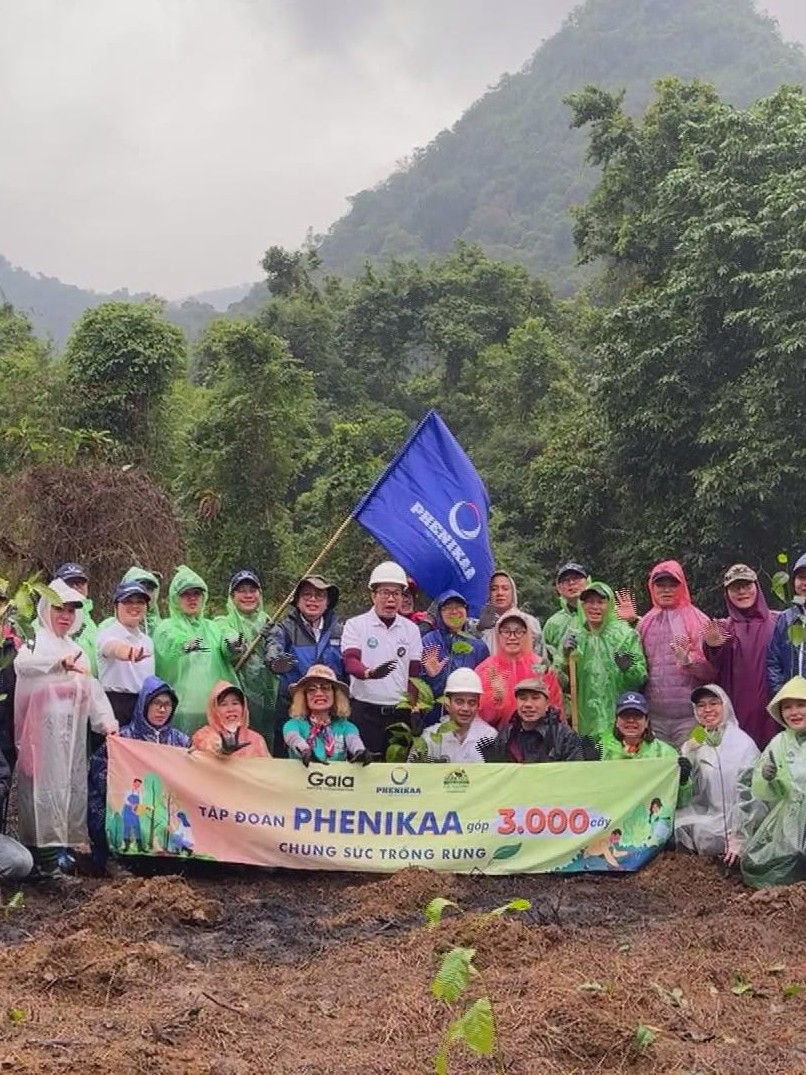 Trồng rừng đầu nguồn hướng tới giảm rủi ro thiên tai và biến đổi khí hậu