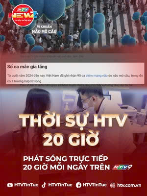 Thời sự HTV ngày 14/12/2025 | Bệnh não mô cầu đang gia tăng trở lại