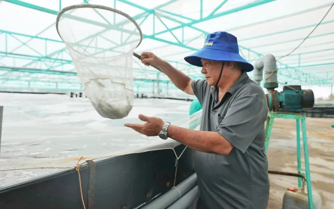 Phát triển nghề biển bền vững: Nuôi trồng thủy sản theo hướng sạch, an toàn