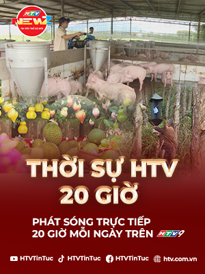 Thời sự HTV ngày 20/12/2025 | Hấp dẫn các hoạt động trải nghiệm tại Phiên chợ nông sản vùng miền - Bình Đông lần I