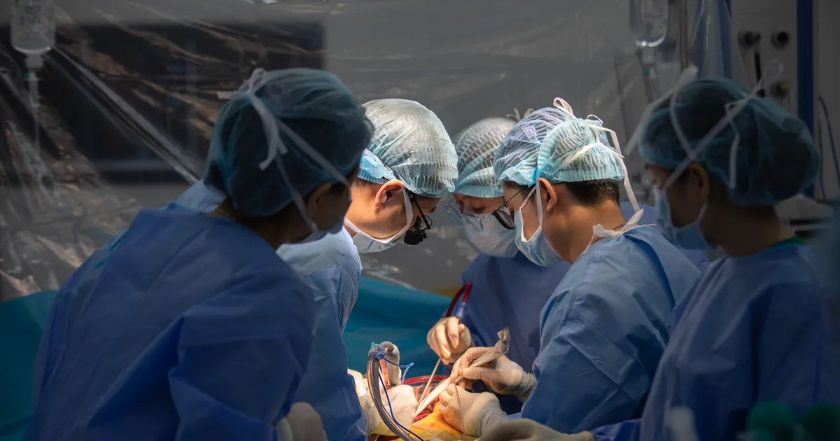 Xuyên đêm cứu sống bệnh nhân suy gan cấp nguy kịch, hôn mê sâu