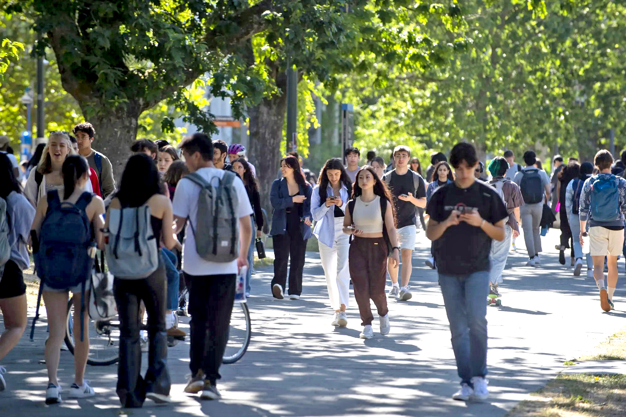Canada đổi luật du học 2026: Học sinh Việt Nam cần chuẩn bị gì? - Ảnh 1.