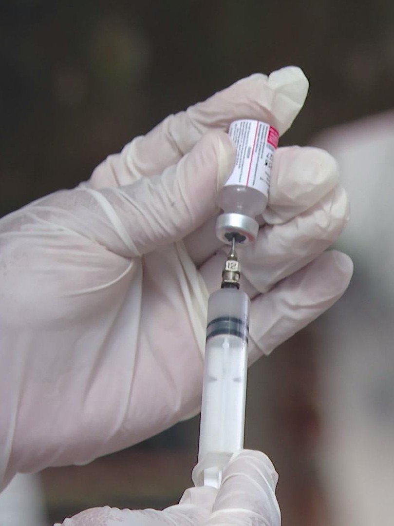 Đẩy mạnh tiêm phòng, bệnh dại tại TP. Hồ Chí Minh được kiểm soát hiệu quả