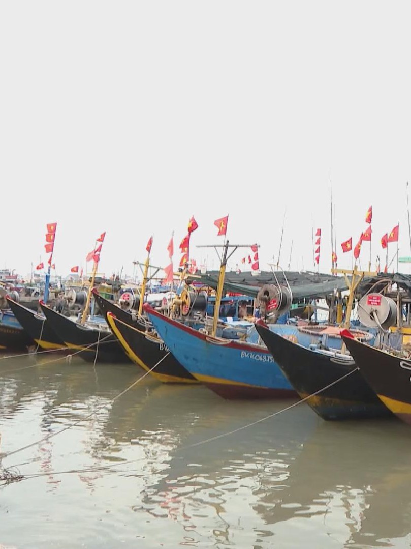 Kiểm tra tàu cá chưa đủ điều kiện hoạt động ở xã Long Hải, TP. Hồ Chí Minh