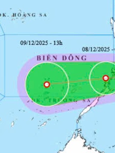 14 tỉnh, 7 bộ chủ động ứng phó áp thấp nhiệt đới hướng Biển Đông
