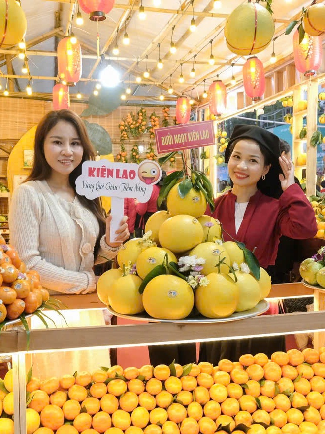 Lễ hội Trái cây Bắc Ninh 2025 khai mạc, đấu giá gây quỹ hỗ trợ miền Trung - Tây Nguyên