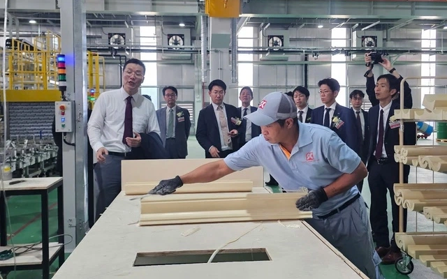 TP.HCM triển khai chính quyền địa phương 2 cấp đến doanh nghiệp