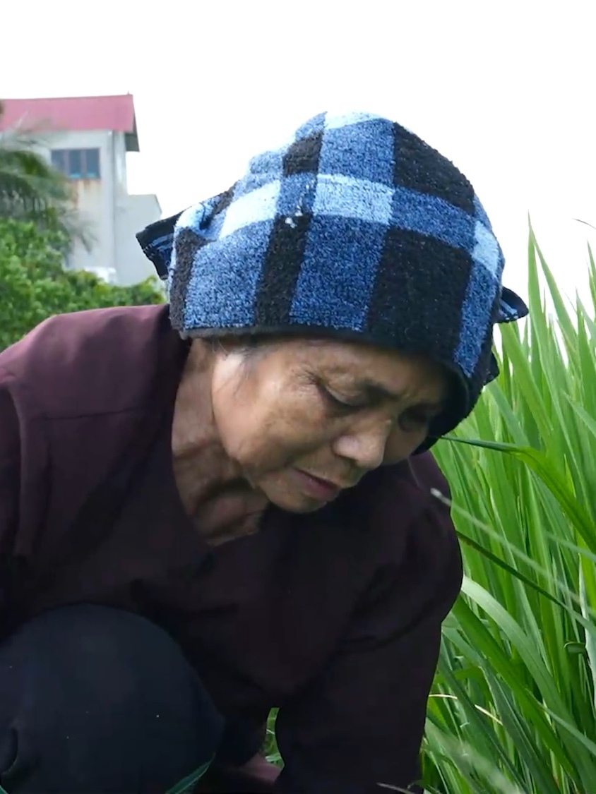 Bà cụ 70 tuổi gồng gánh nuôi chồng bệnh và hai cháu mồ côi