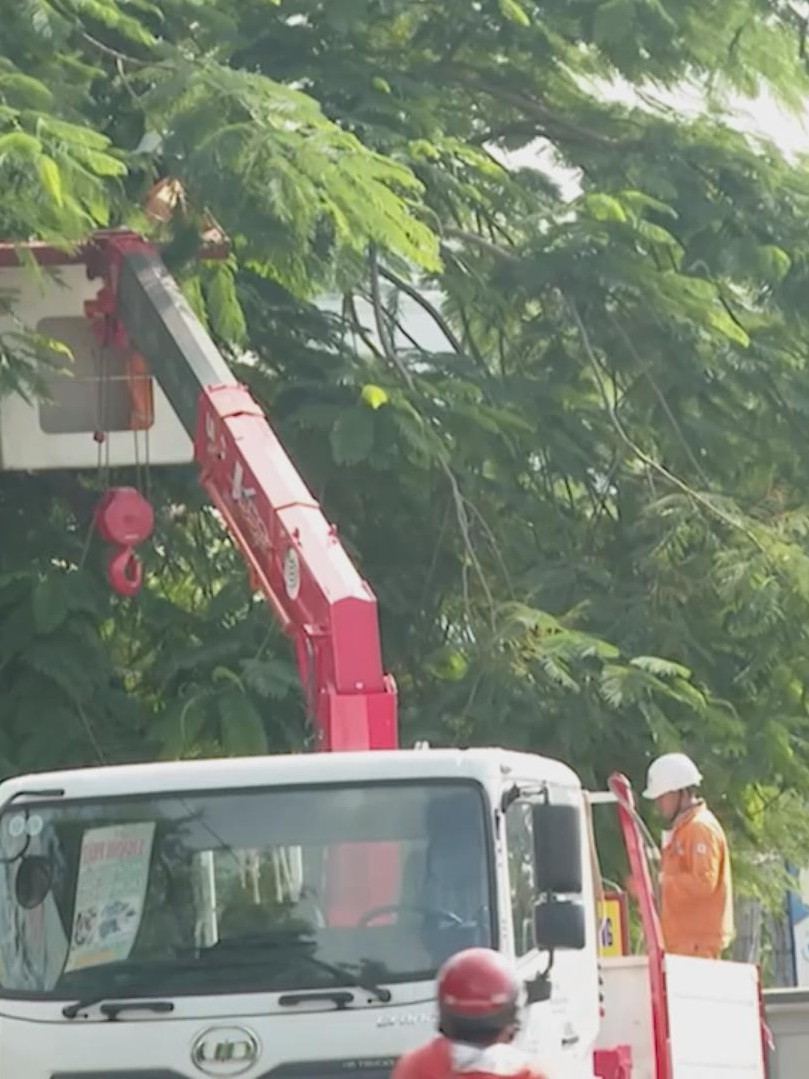 Ngành điện TP.HCM chủ động ứng phó thiên tai, đảm bảo cấp điện ổn định mùa mưa bão