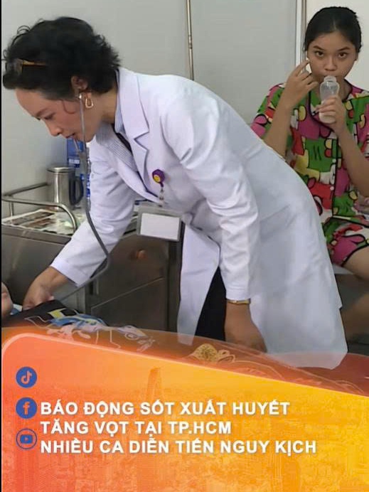 Báo động sốt xuất huyết tăng vọt tại TP.HCM