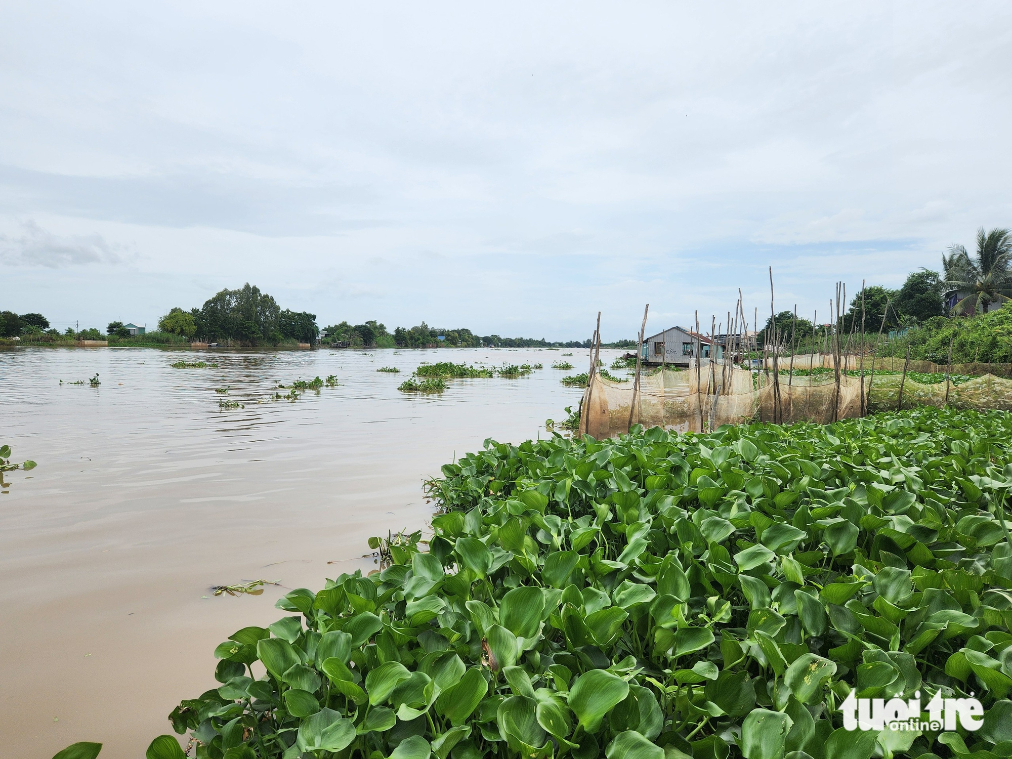Lượng nước từ sông Mekong đổ về sông Cửu Long tăng 10-30% - Ảnh 1.