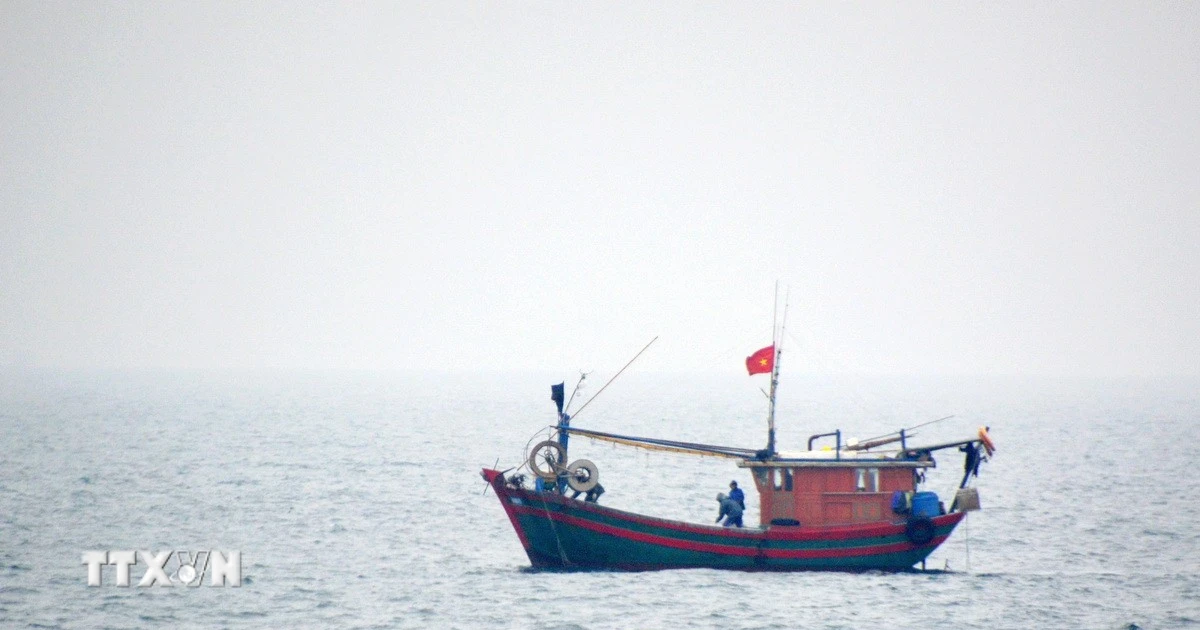 Thời tiết ngày 6/7: Vùng gần tâm bão đi qua gió giật cấp 13, biển động dữ dội- Ảnh 1. Thời tiết ngày 6/7: Vùng gần tâm bão đi qua gió giật cấp 13, biển động dữ dội- Ảnh 1.