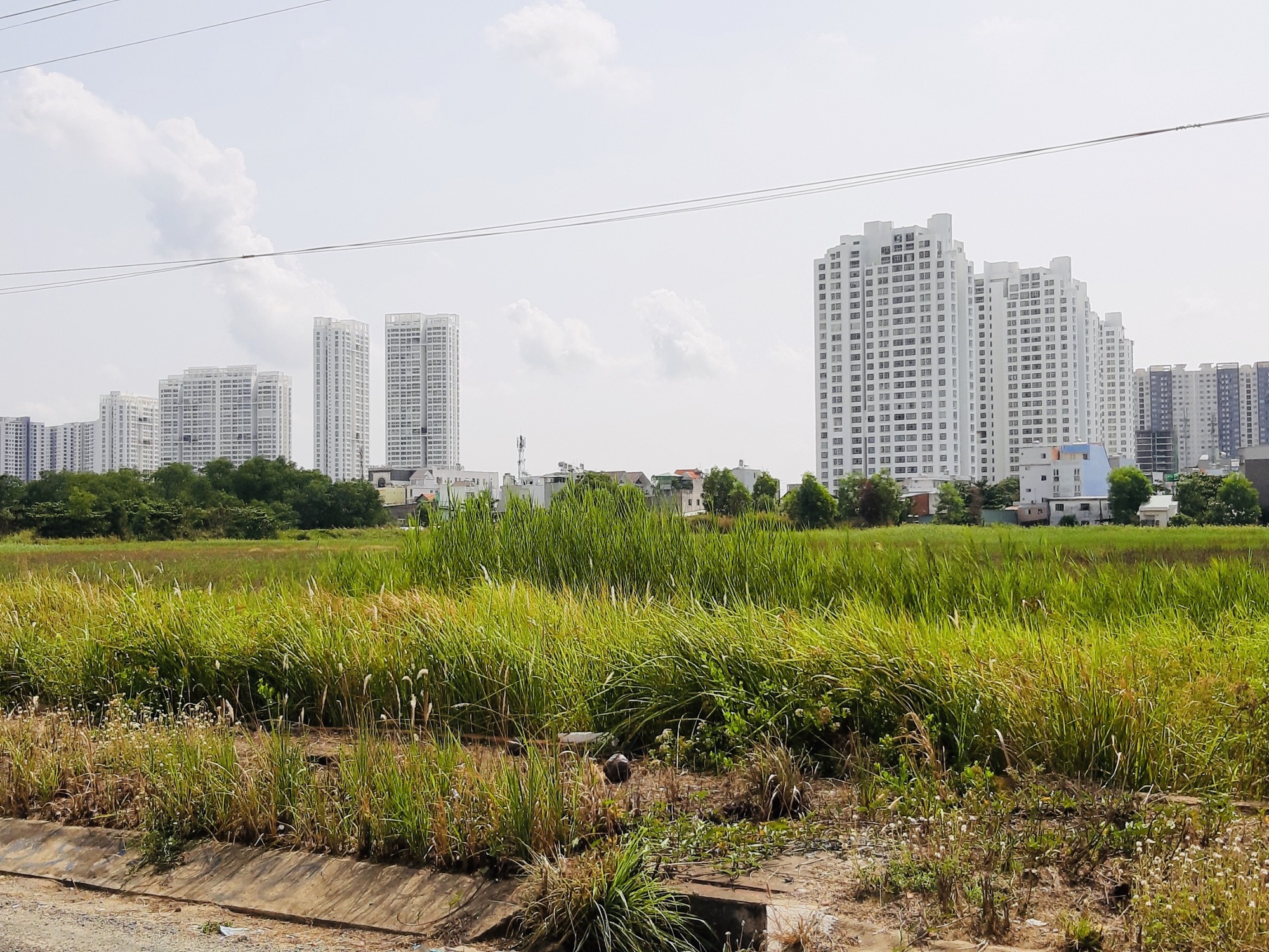 Nhà nước thu hồi đất giao cho doanh nghiệp   - Ảnh 1.