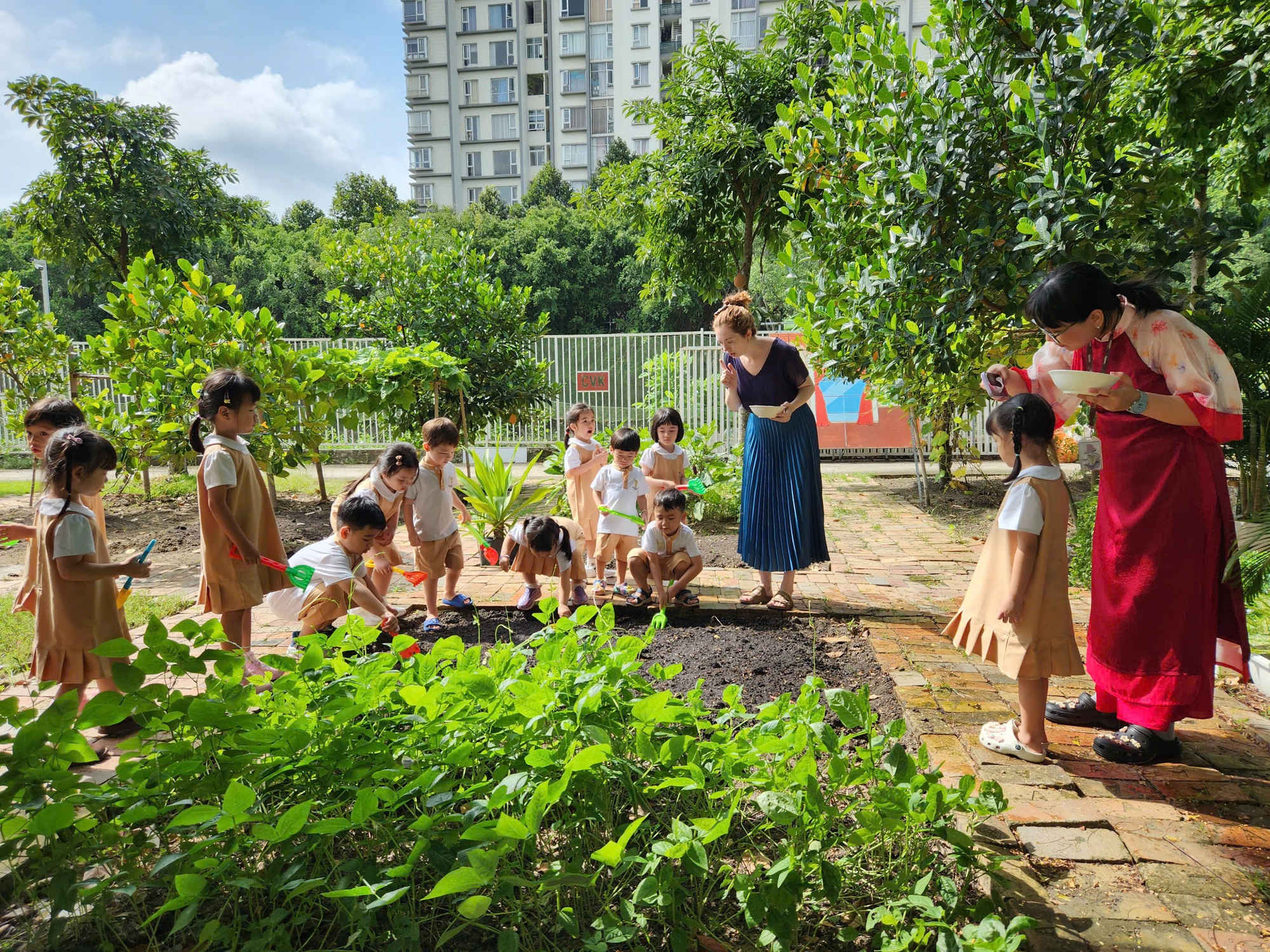 TP.HCM muốn thúc đẩy việc học tiếng Anh của trẻ mẫu giáo - Ảnh 4.