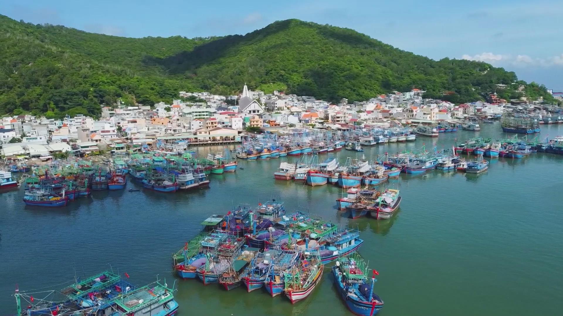 TP.HCM đẩy mạnh số hóa, siết chặt quản lý để gỡ “thẻ vàng” thủy sản - Ảnh 1.