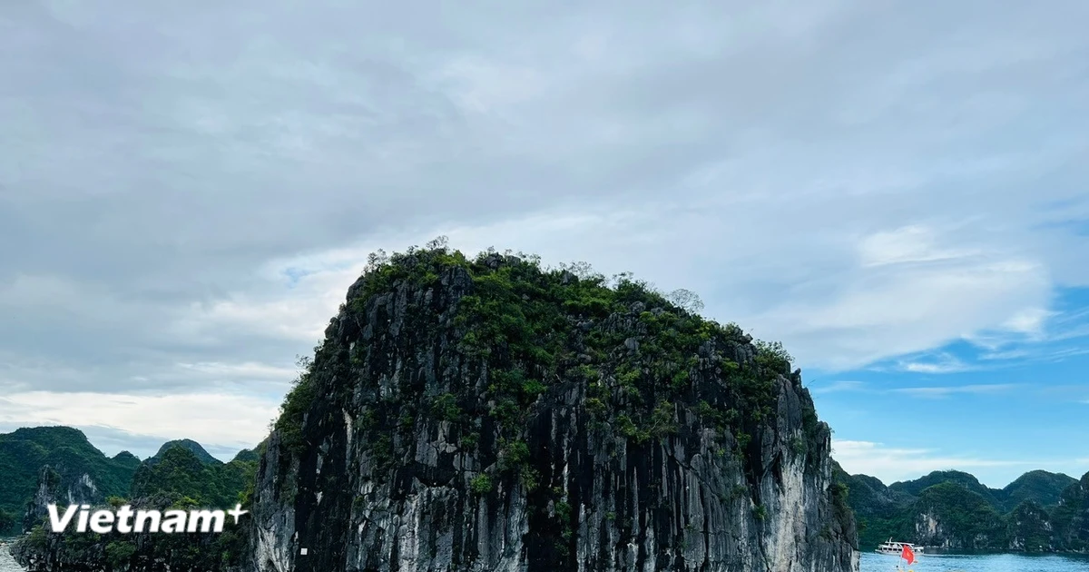 Nhiều địa phương tạm dừng du lịch biển, "né" cơn bão số 5