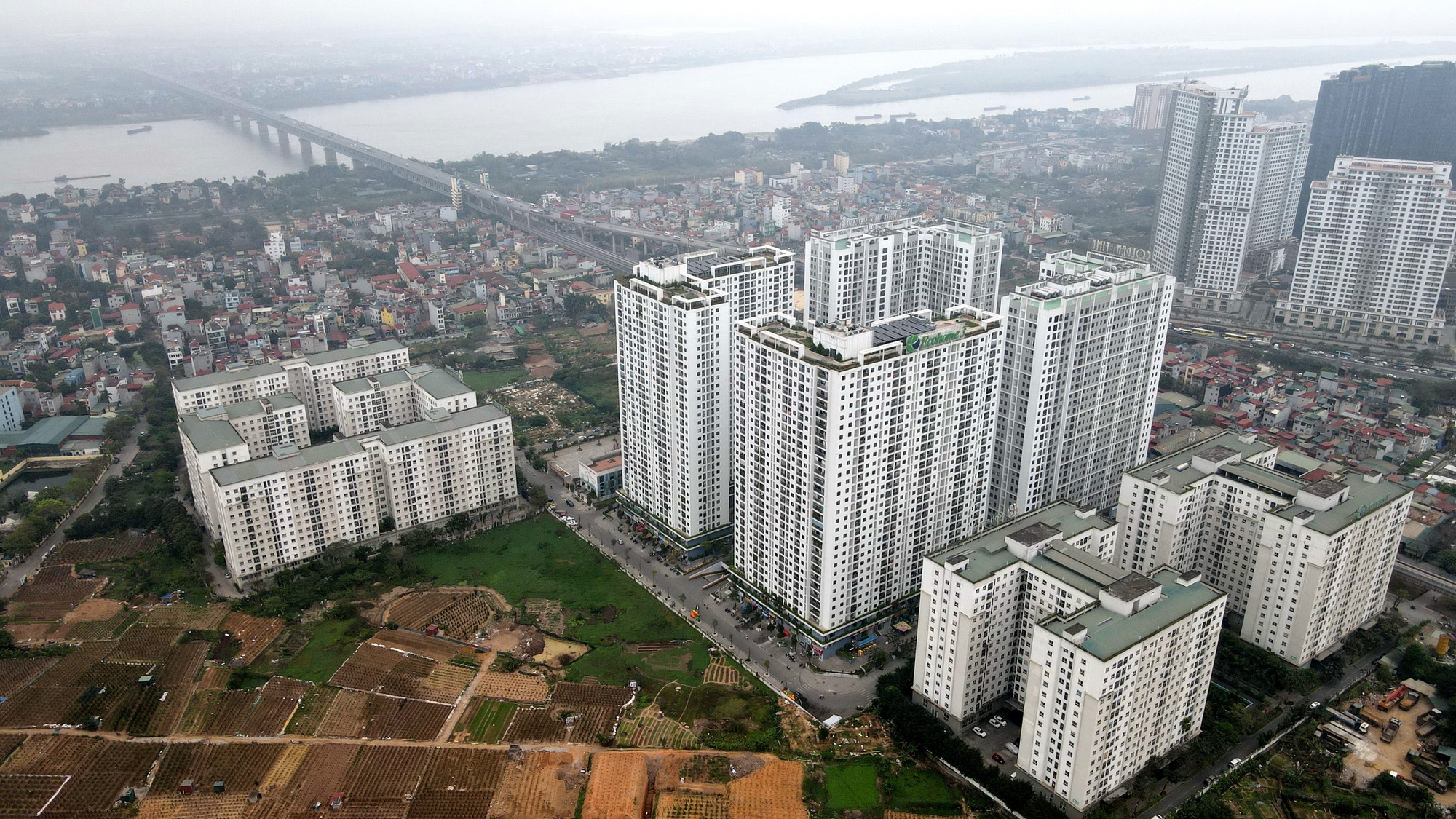 Rủi ro pháp lý khi nhờ người đứng tên tài sản  - Ảnh 1.