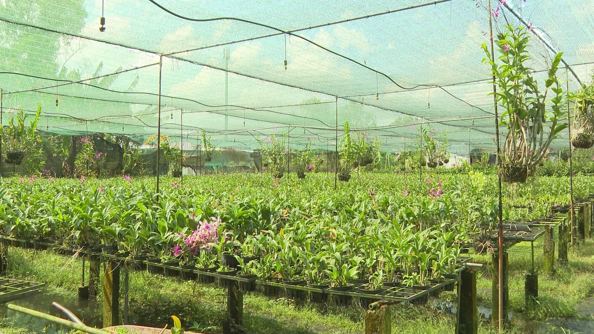 ホーチミン市、農地における付属工事の建設を正式に許可 - 写真1。 TP.HCM chính thức cho phép xây công trình phụ trợ trên đất nông nghiệp- Ảnh 1.