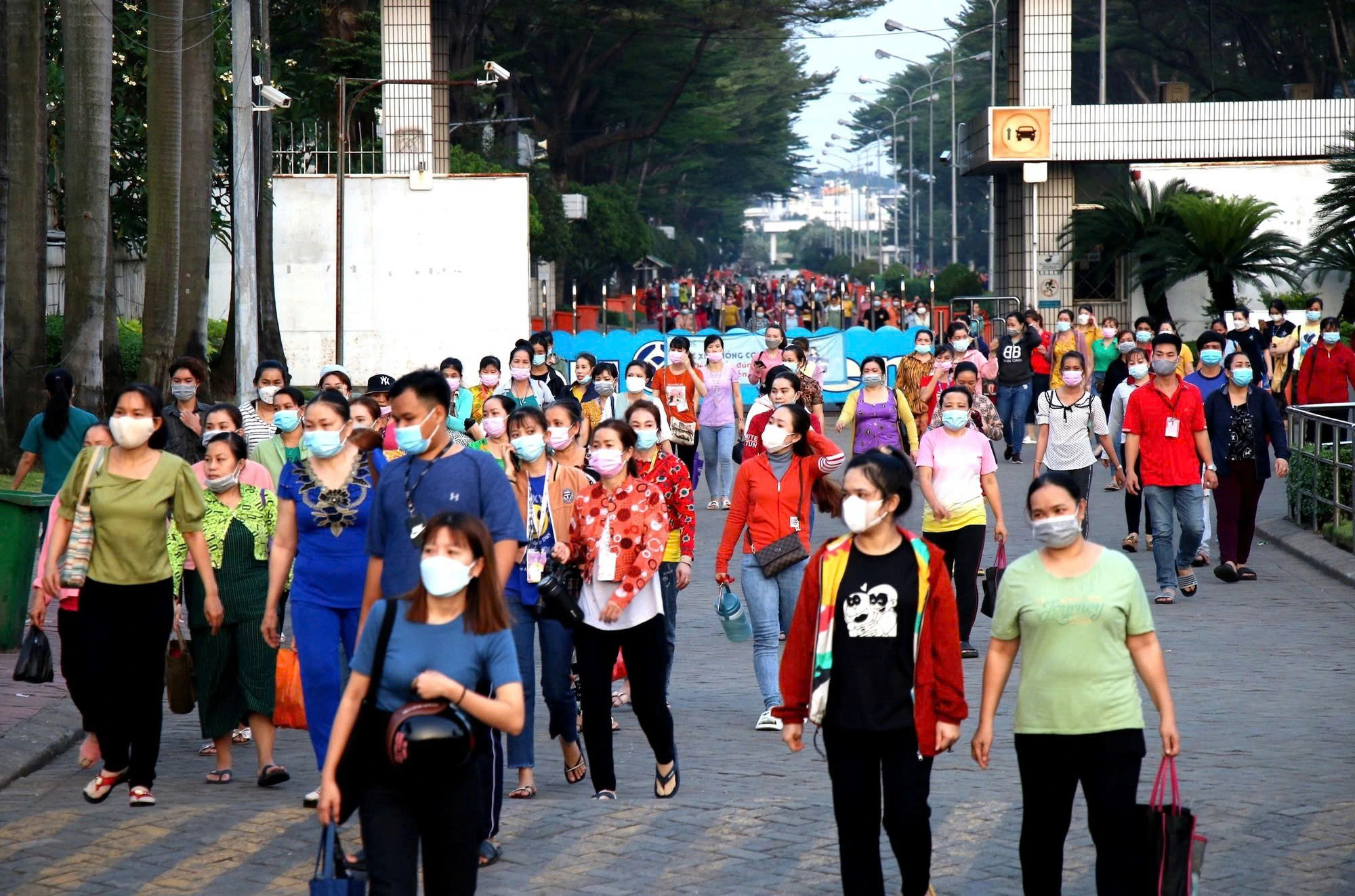 TP.HCM rà soát dữ liệu lao động: Người lao động cần làm gì để được hưởng lợi? - Ảnh 2.